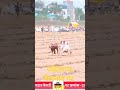 #mathur#bakasur #bailgadasharyat #baile #viral #viralvideo #