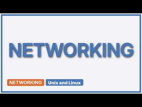 No internet connection for a kvm guest. what could be wrong? (2 Solutions!!)