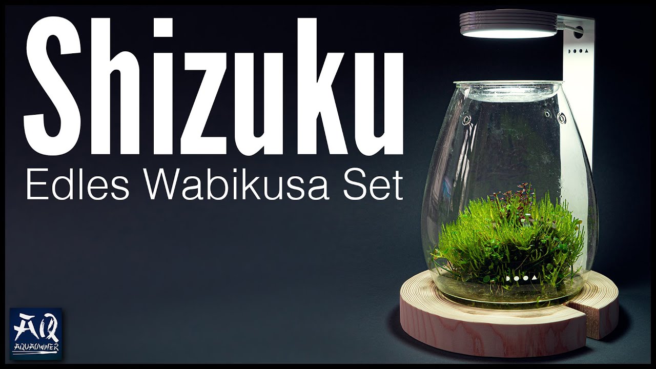 Edles Wabikusa Set - DOOA Glass Pot Shizuku | AquaOwner
