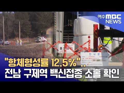 전남 <strong>구제역</strong> 백신접종 소홀 확인 -R (250408화/뉴스투데이)