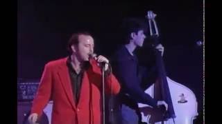 Watch Fabulous Thunderbirds True Love video