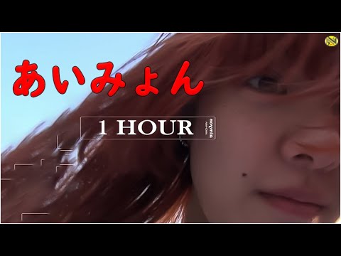 あいみょん 愛の花 1時間耐久 作業用 1hour Loop