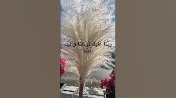 #قرآن #قران_كريم #tilawat #راحة_نفسية #allah #تلاوة_خاشعة #تلاوة_هادئة