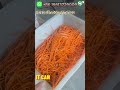 Commercial 304 Stainless Steel Vegetable Slicing and Shredding Machine for Restaurants