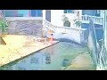 弟弟一脚踩空掉落水坑 姐姐上演 教科书式 救援 弟弟一脚踩空掉落水坑 姐姐上演 教科书式 救援