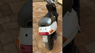 Piaggio TPH Neuaufbau