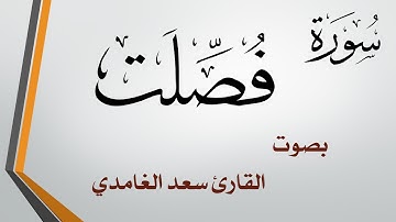 041  سورة فصلت .. سعد الغامدي .. القرآن هدى للمتقين