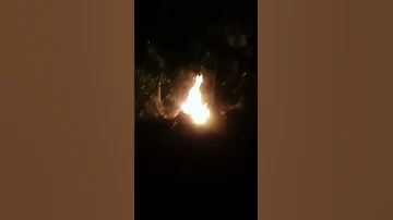 Grass Fire Pang Taboy Sa Mga Lamok Na Nangangagat Sa Mga Alaga Nating Hayop 