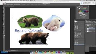 Tutorial Ps   500  Part111