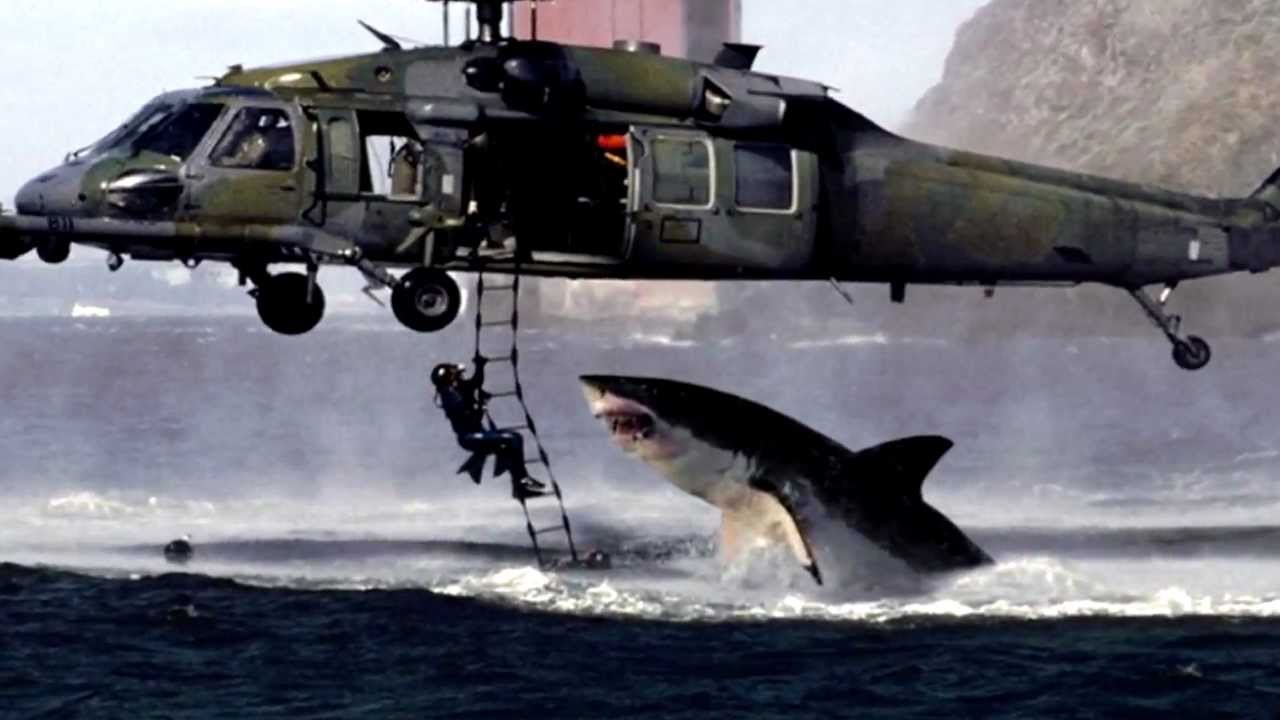 Image result for shark attack helicopter hoax