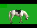 Green screen footage  arabian horse canter 3d animation  green screen 4u