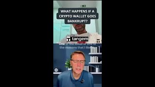 What Happens If a Crypto Wallet Goes Bankrupt? #Efani #Podcast #Interview #Crypto #Payments
