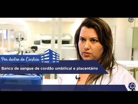 Vídeo: Banco De Sangue Do Cordão Umbilical - Objetos Biológicos Nas Fronteiras Entre Comunidade E Imunidade