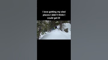 When I’m snowmobiling I love pushing my self👍what about you? #shorts #skidoo #polaris #snowmobile