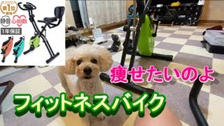 191. フィットネスバイクで愛犬と有酸素運動