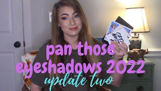 Pan Those Eyeshadows! Update 2! || Using Makeup with Laney's Prompts
