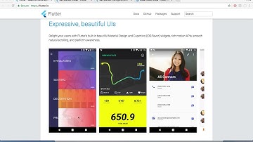 Flutter Zero to Professional: cross platform App iOS/Android : Promo Video