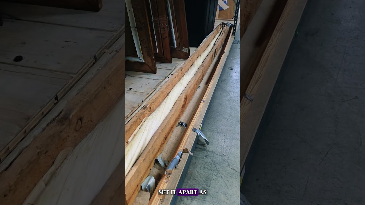 The World’s Largest Narwhal Tusk at Auction 🦄🌊  