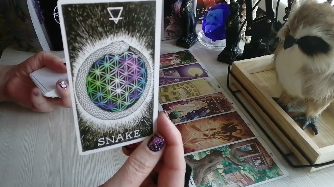 Тайные знания таро дзен