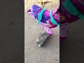Andando de patins #humor