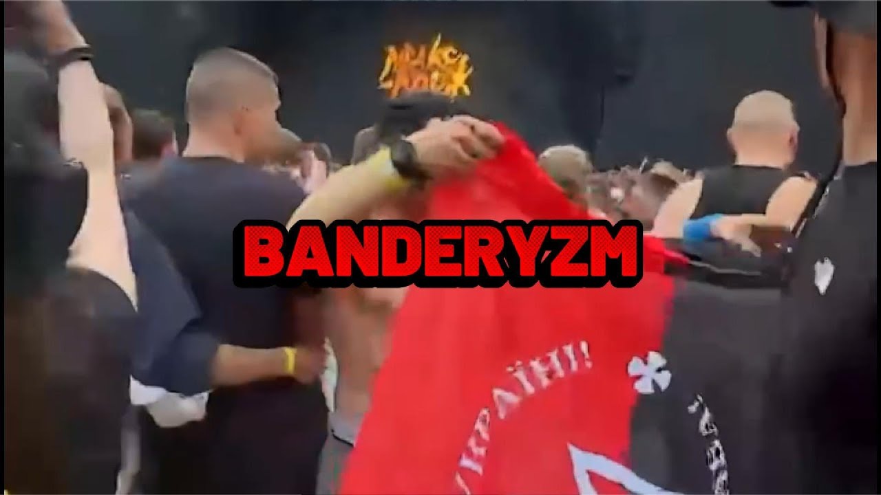 Odtwarzacz wideo YouTube