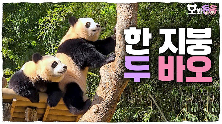 (SUB) When it's outdoors, cute Hui and lovely Rui│Panda World