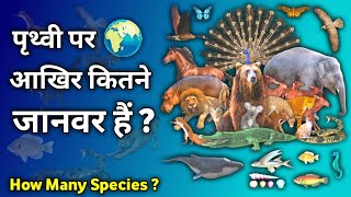 आख़िर कितने जानवर ? | विश्व में जानवरों की कितनी प्रजातियाँ हैं हिंदी में | भारत में पशु