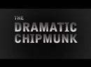 Dramatic Chipmunk - in HD