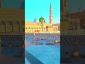 Chor Fikar Duniya Ki |Beautiful Naat| #shortvideo #naat #madina #shorts #short #viral