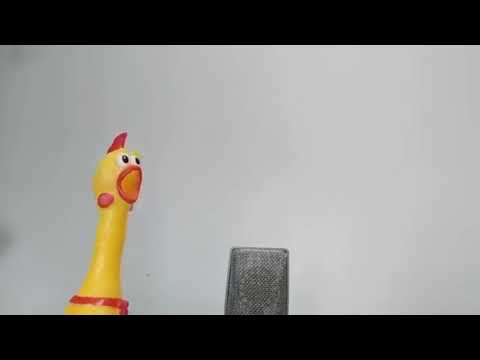 old-town-road---chicken-version-funny