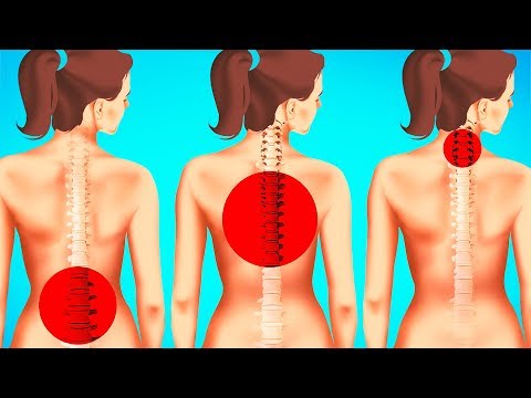 背中の痛み改善！１分間でできる簡単エクササイズ！