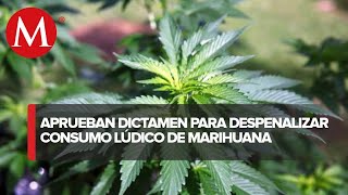 Comisiones del Senado aprueban dictamen para legalizar la marihuana