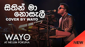 WAYO (Live) Sithin Ma Nosali සිතින් මා නොසැලී (Cover)