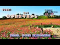 あんただけ~ 字義版