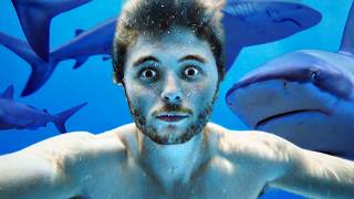 Will Diving with Wild Sharks Cure My Deepest Fear?