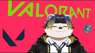 【ランク配信】VALORANT目指せアセンダント！現在プラチナ3