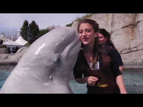 Learn About Becoming A Mystic Aquarium Member Today!