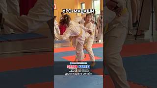 Обучающий курс по карате, уро маваши гери