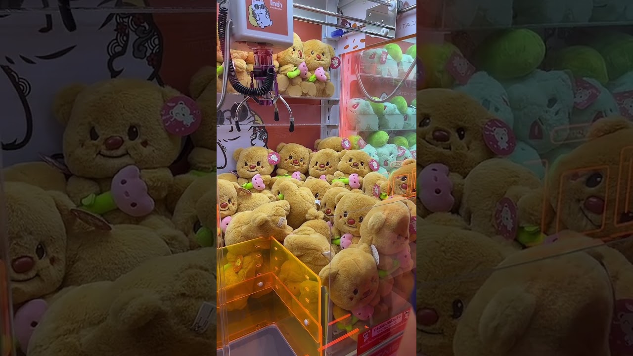 EP.03 ตามหาแคร์แบร์ ที่ไทซ่า อาณาจักรนักคีบ