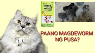 PAANO MAGDEWORM NG PUSA(NEMATOCIDE)