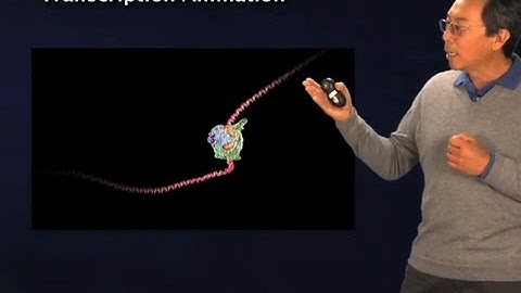 Initiation of Transcription - Robert Tjian (Berkeley/HHMI)