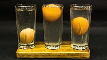 5th Grade Science Projects Floating Egg