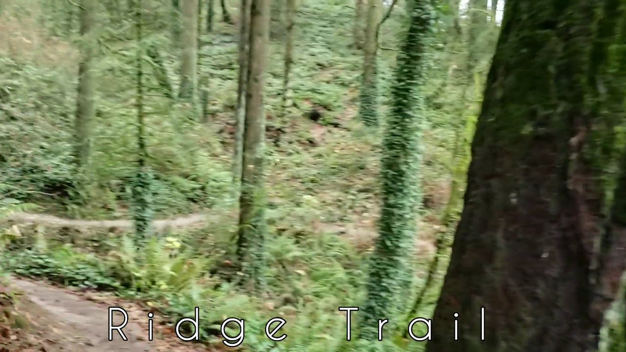 Forest Park "Leif Erikson, Ridge Trail" Portland Oregon YouTube