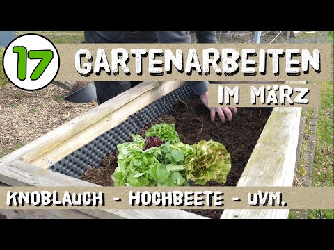 Video: Bearbeitet man den Boden in Reihen?