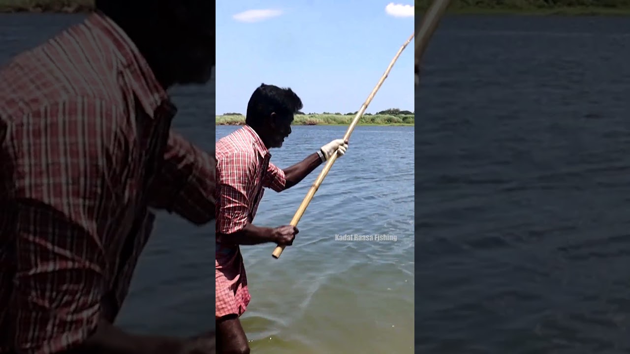 Monster Mullet Fish Fishing 