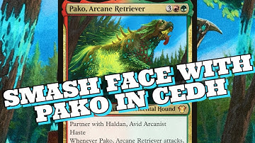 Pako and Haldan cEDH Deck Tech