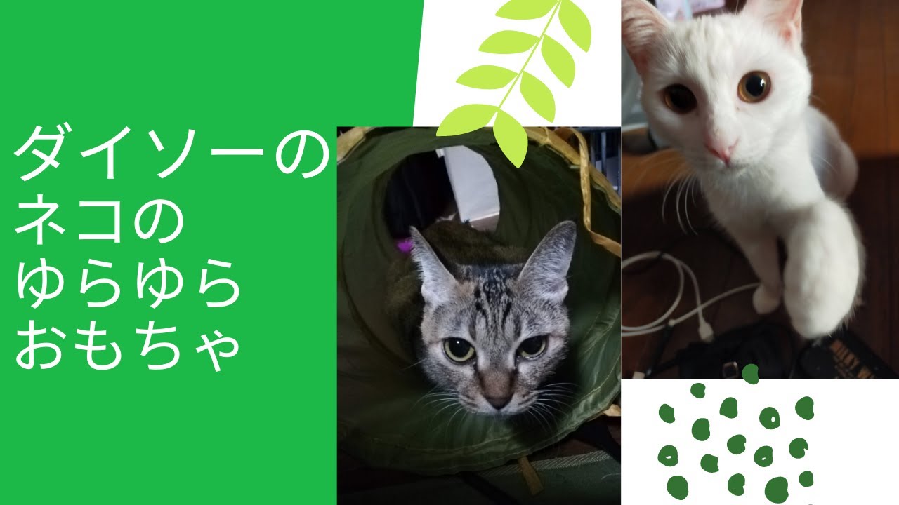 ダイソーのネコのゆらゆらおもちゃと一人遊びのベリル Youtube