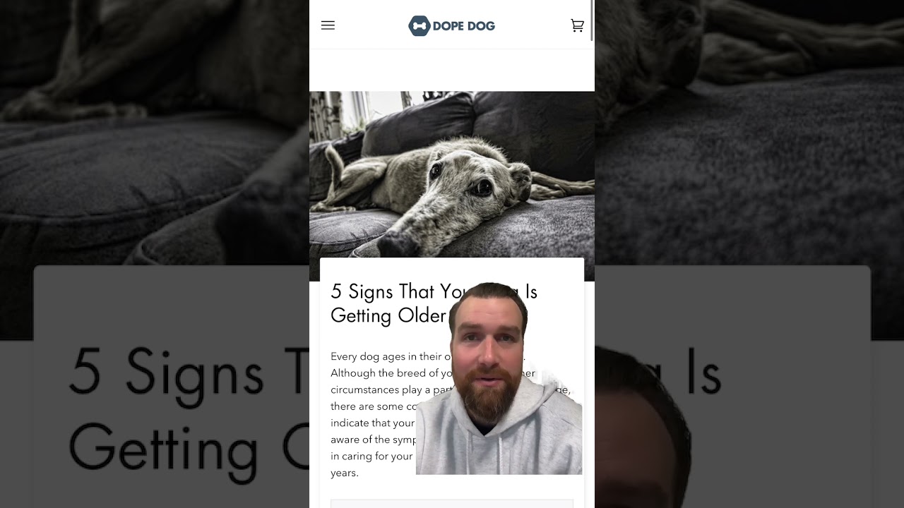 5 Signs Your Dog is Getting Older