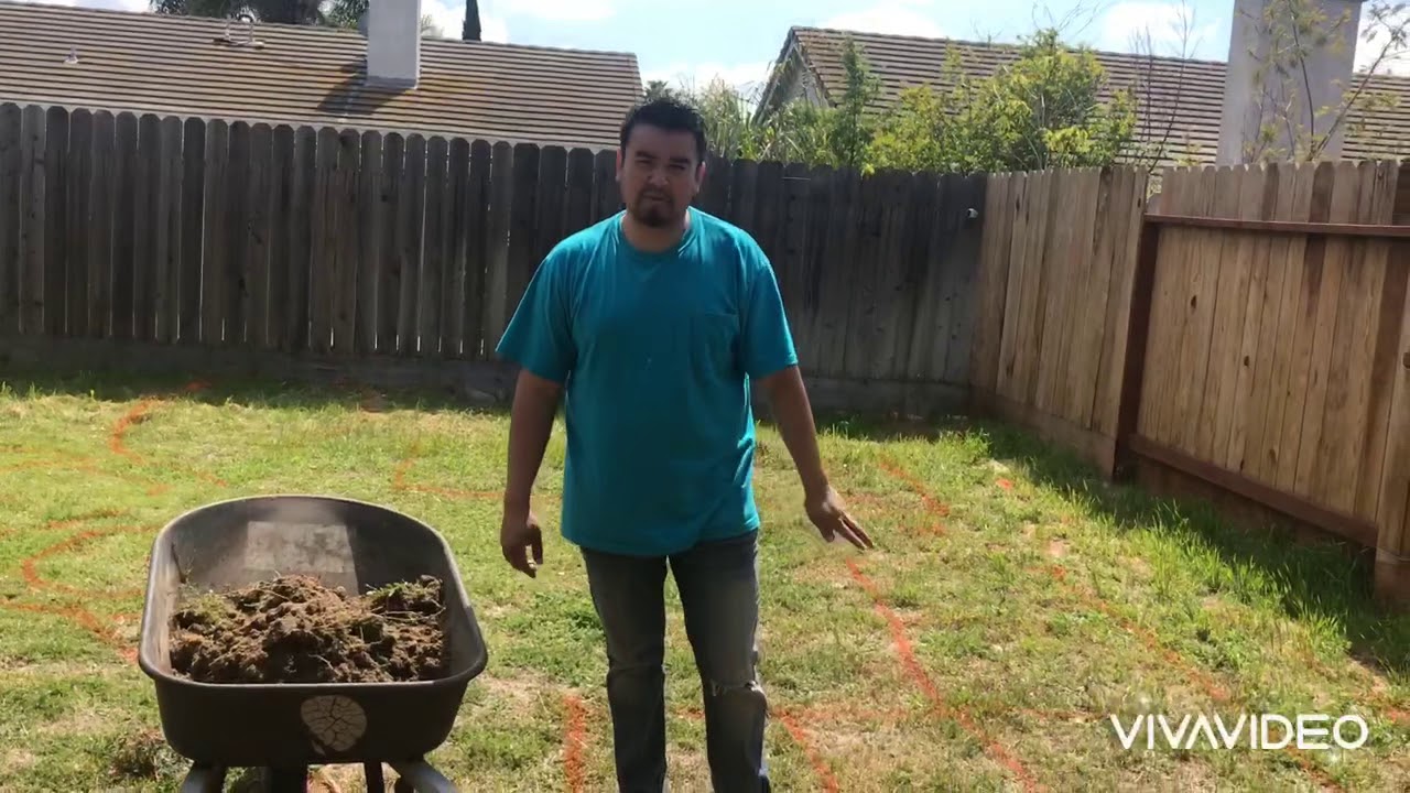 Ideas para arreglar el jardin - YouTube