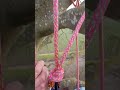 petzl zigzag og eject test kort